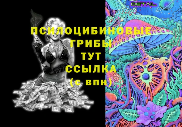 мдпв Алзамай